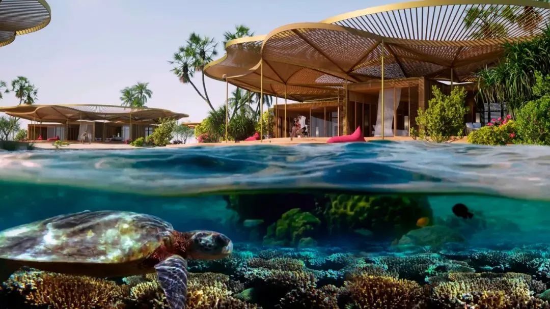沙特阿拉伯紅海旅游度假區萊佛士酒店設計